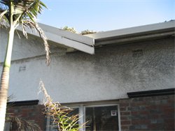 Blocked gutters