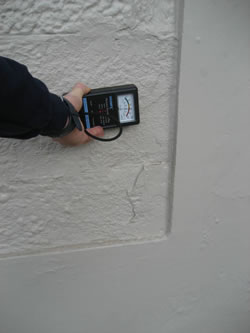 The rising damp in this wall has been hidden by fresh paint which will peel off soon and further erosion may occur if left untreated.